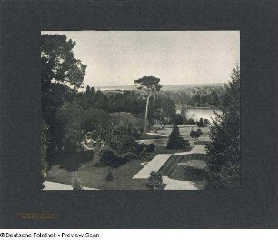 Foto, Del Monte