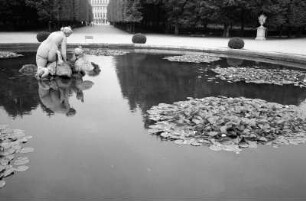 Wien : In Wien, Schönbrunn