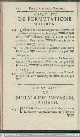 Caput XXI. De Permutatione Schurek