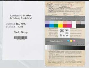 Entnazifizierung Georg Stodt, geb. 04.12.1884 (Vers.Direktor)