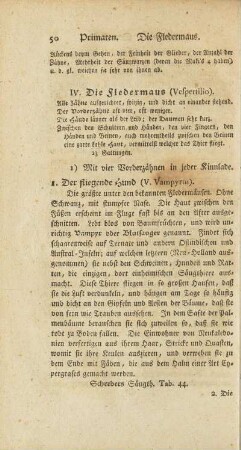 IV. Die Fledermaus