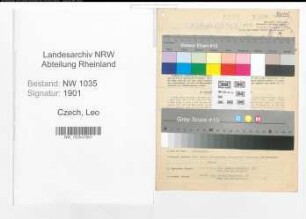 Entnazifizierung Leo Czech , geb. 16.06.1899 (Ingenieur)