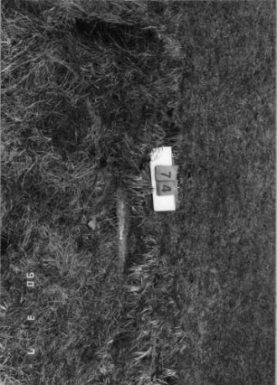 Grabstein 74 (Index: 100090000) Zustand: Fragment Beschreibung: nur Sockel: Grabstein 74