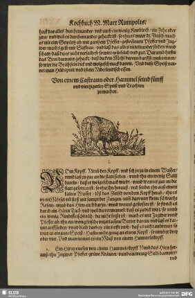 Von einem Castraun oder Hammel seind fünff und viertzigerley Speiß und Trachten zu machen