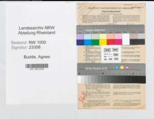 Entnazifizierung Agnes Budde, geb. 30.03.1897 (Vers.Angest.)