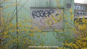 ROZeR