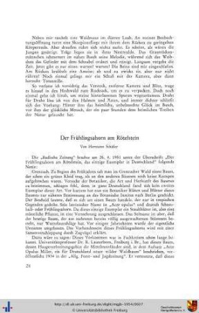 Der Frühlingsahorn am Rötelstein