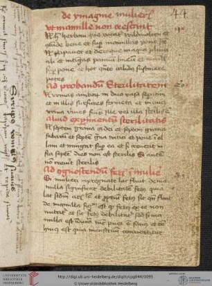 Gynäkologische Rezeptsammlung, lat.