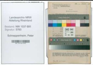 Entnazifizierung Peter Schneppenheim , geb. 31.03.1907 (Verw.Inspektor)