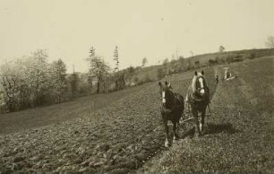 Tschechien, Tetschen, pflügender Bauer