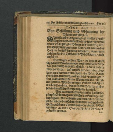 Caput XLII. Von Schälung und Abhauung der Bäume und Weyden.