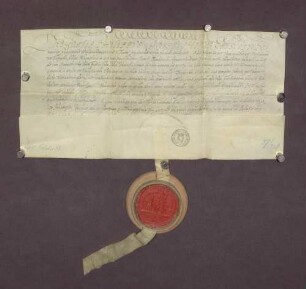 Lehenbrief des Bischofs Philipp Christoph zu Speyer für den Abt Georg vom Kloster Schwarzach am Rhein über die von dem Bistum Speyer lehenbaren, dem Kloster angehörigen Gerechtsame Wälder, Weiden, Güter