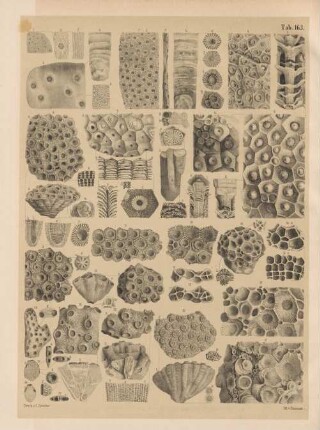 Tab. 163