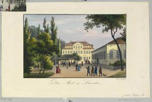Heilanstalt und Kurbad in Schandau (Bad Schandau) in der Sächsischen Schweiz
