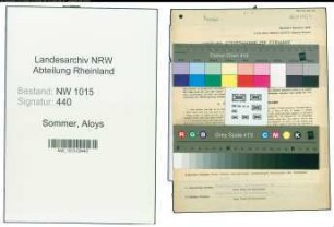 Entnazifizierung Aloys Sommer , geb. 19.11.1903 (Kaufmaennischer Angestellter)