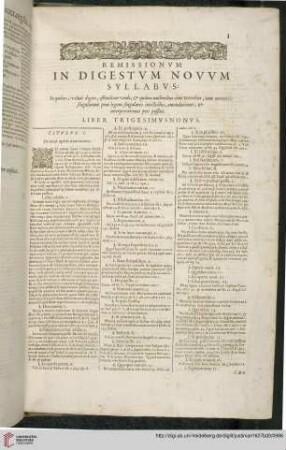Remissionum in Digestum novum Syllabum