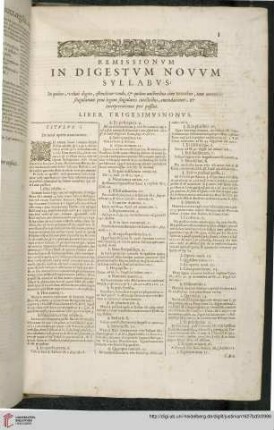 Remissionum in Digestum novum Syllabum