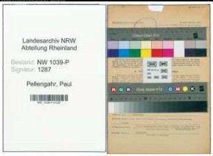 Entnazifizierung Paul Pellengahr , geb. 07.12.1904 (Reitlehrer)