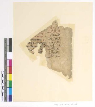 Matt. XIV, 15