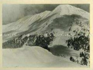 Bergpanorama im Schnee