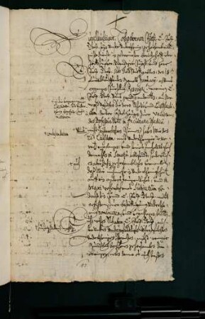150. Senatsbericht pro alt. confirmat. Cast. Haugii (21.01.1648)