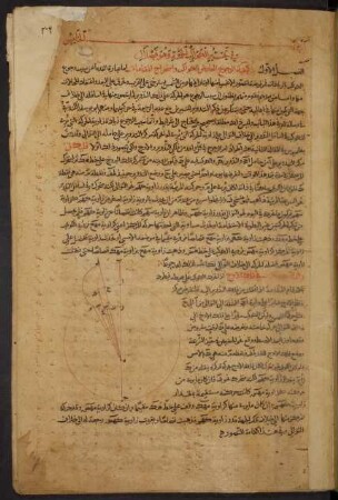 Illustration: f. 206r-206v