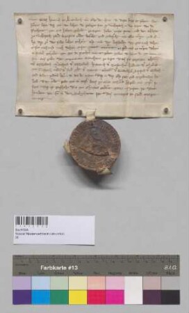 Graf Heinrich von Leonsberg übereignet im Auftrag der Berghofer (Perchover) dem Kloster Niederviehbach diejenigen Lehen, die innerhalb des einst von Graf Heinrich an die Berghofer verkauften Eigengutes bei [Nieder-]Viehbach liegen.;. S: Graf Heinrich von Leonsberg