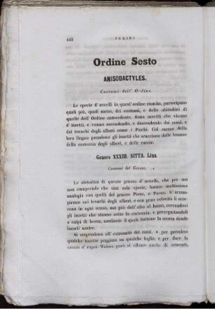 Ordine Sesto Anisodactyles.