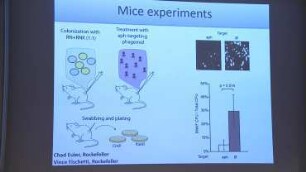 Studying And Fighting Pathogenic Bacteria with the Help of Crispr