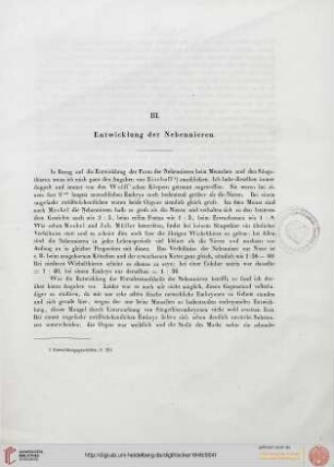 III. Entwicklung der Nebennieren
