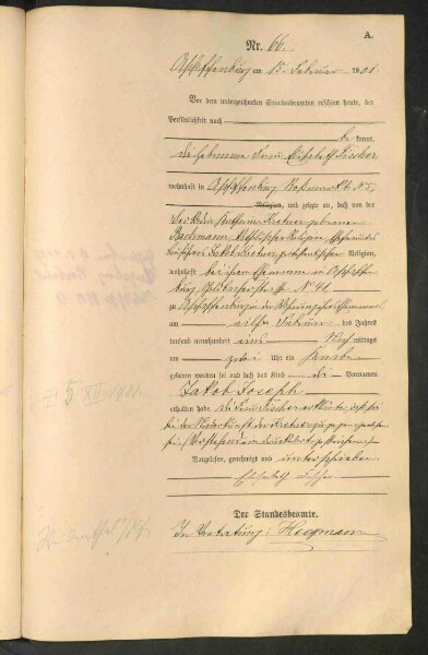 Standesamtsbuch der Stadt Aschaffenburg: Geburten 365/1900 - 184/1901