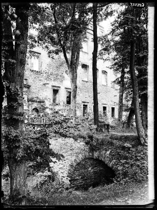 Ruine Schweinhausbg. Eingang