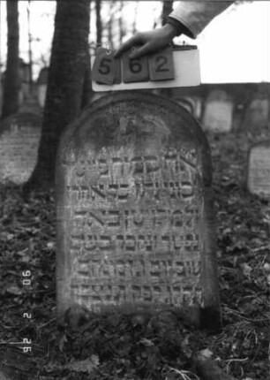 Grabstein 562 (Index: 100115354) Material: Sandstein Zustand: verwittert Maße HxBxT: 83x49x7 cm Beschreibung: Stele mit Rundbogenabschluß, eingetieftes Schriftfeld: Grabstein 562