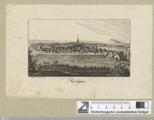 Saulgau