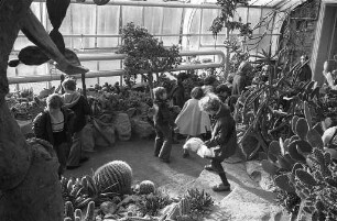 Schulunterricht im Gewächshaus des Botanischen Gartens