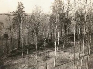 Oberlausitz. Burgwall Kopschien bei Krostwitz (Crostwitz). Der Vorwall, von der Wallkrone des Innenringes gegen Krostwitz (Crostwitz) gegesehen