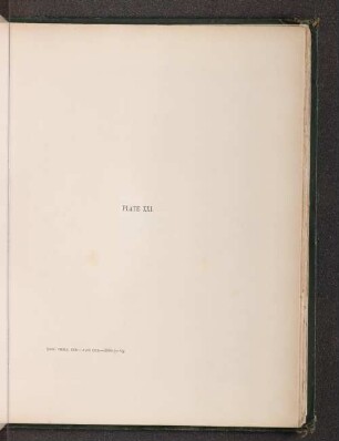 Plate XXI.