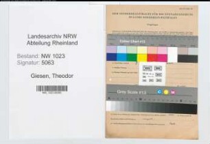 Entnazifizierung Theodor Giesen , geb. 05.05.1899 (Transportunternehmer)