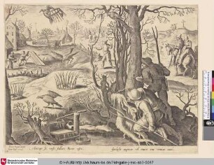 [Bussardjagd mit Mausefallen im Winter; Buzzard hunt with traps in winter]