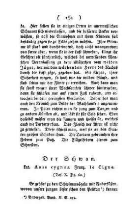¬Der¬ Schwan : Lat. Anas cycnus ; Franz. le Cigne ; (Taf. X, Fig. 60)