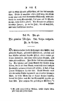 ¬Die¬ gemeine Wespe : Taf. IX, Fig. 42