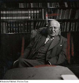 Portraitserie Hermann Staudinger