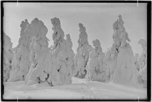 Keilberg (Klínovec). Winterlandschaft