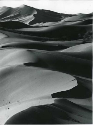 Dünen bei Quargla : Dünen in der algerischen Sahara nahe der Stadt Quargla.