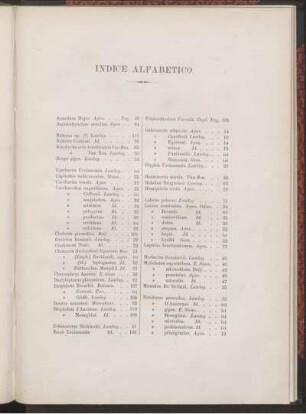 INDICE ALFABETICO