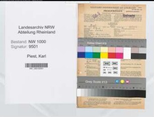 Entnazifizierung Karl Piest, geb. 05.12.1901 (Forstmeister)