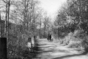 Wilsdruff-Helbigsdorf. Die Triebischtalstraße von Herzogswalde nach Helbigsdorf kurz vor der Leutholdmühle (Aufnahme Martin Risse)