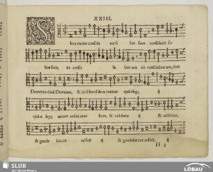 XXIII. Sicut mater consolatur filios