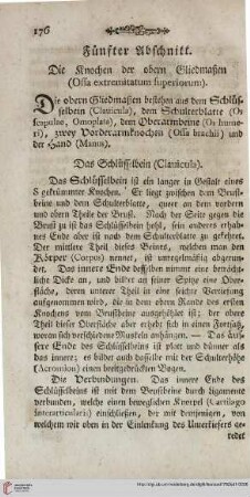 Fünfter Abschnitt: Die Knochen der obern Gliedmaßen (Ossa extremitatum superiorum)