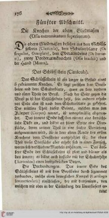 Fünfter Abschnitt: Die Knochen der obern Gliedmaßen (Ossa extremitatum superiorum)